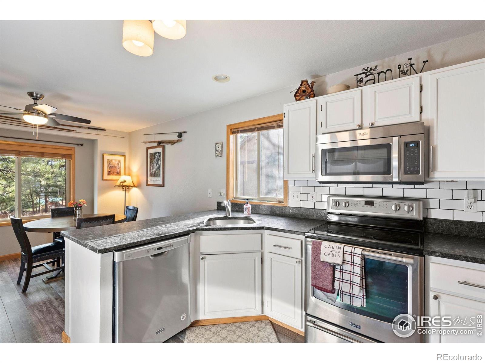 MLS Image #13 for 704  birdie lane,estes park, Colorado