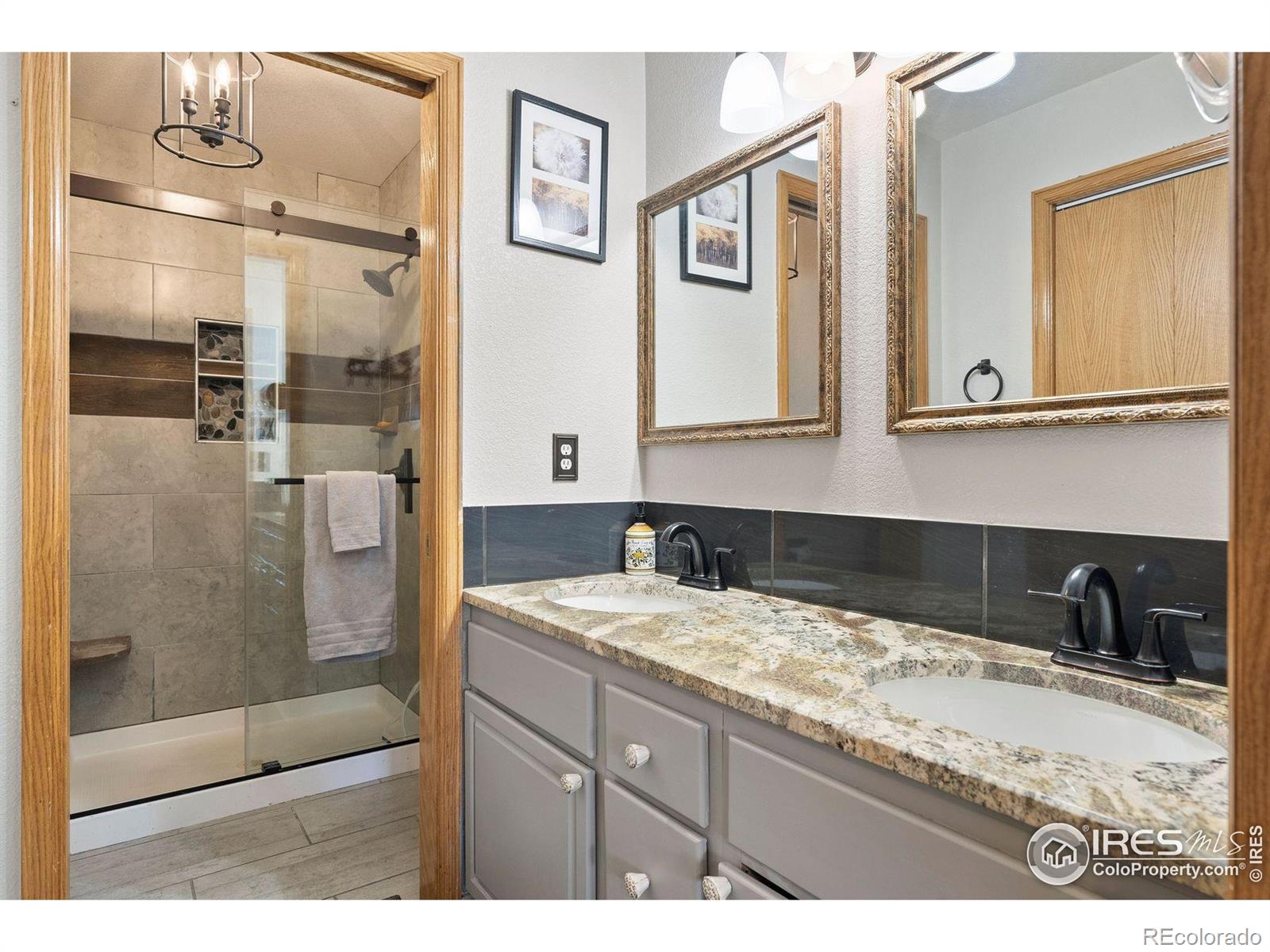 MLS Image #5 for 704  birdie lane,estes park, Colorado