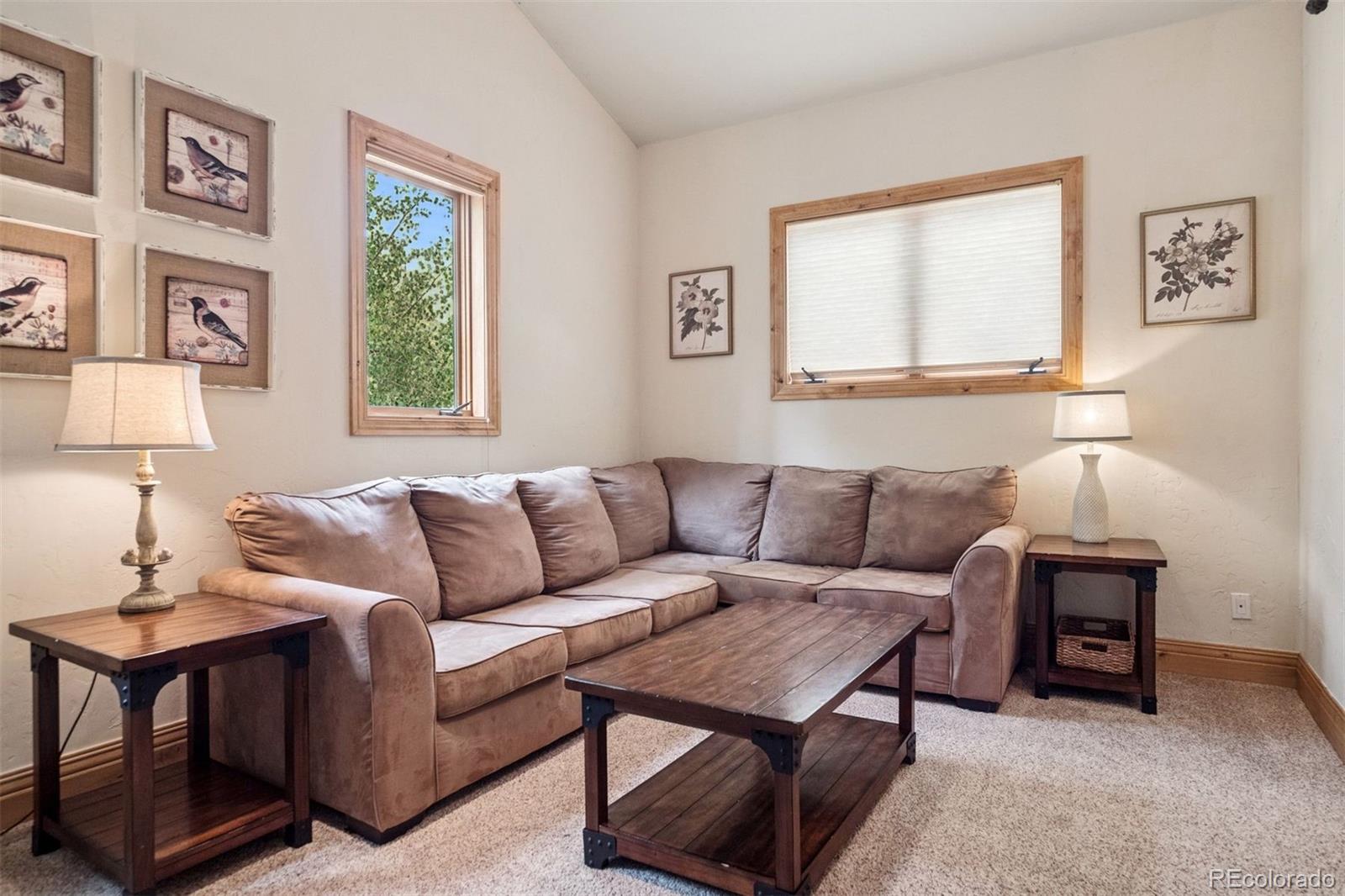 MLS Image #21 for 28  white cloud drive,breckenridge, Colorado