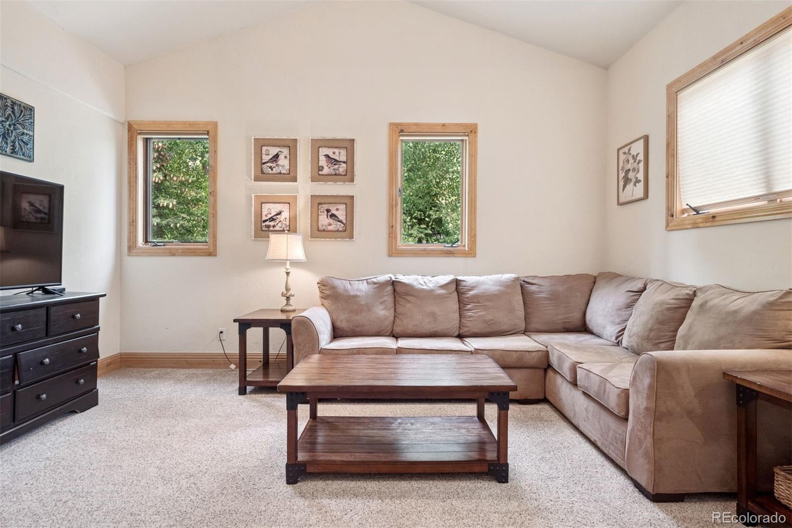 MLS Image #22 for 28  white cloud drive,breckenridge, Colorado
