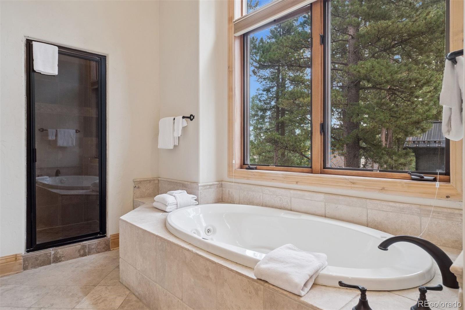 MLS Image #31 for 28  white cloud drive,breckenridge, Colorado