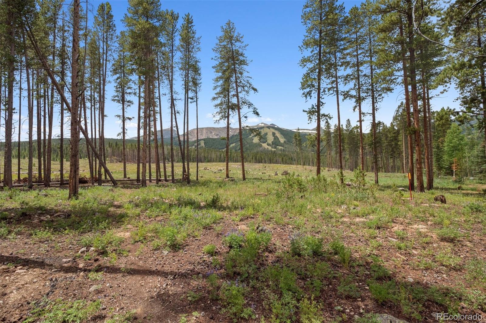 MLS Image #35 for 28  white cloud drive,breckenridge, Colorado