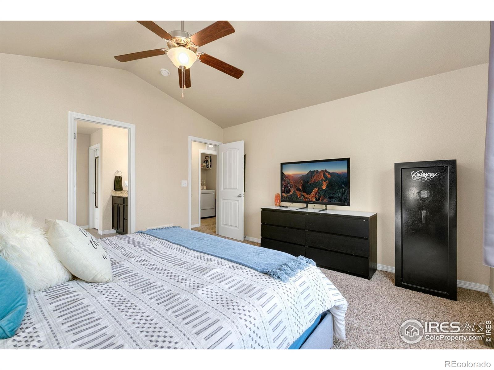 MLS Image #14 for 1787  avery plaza street,severance, Colorado