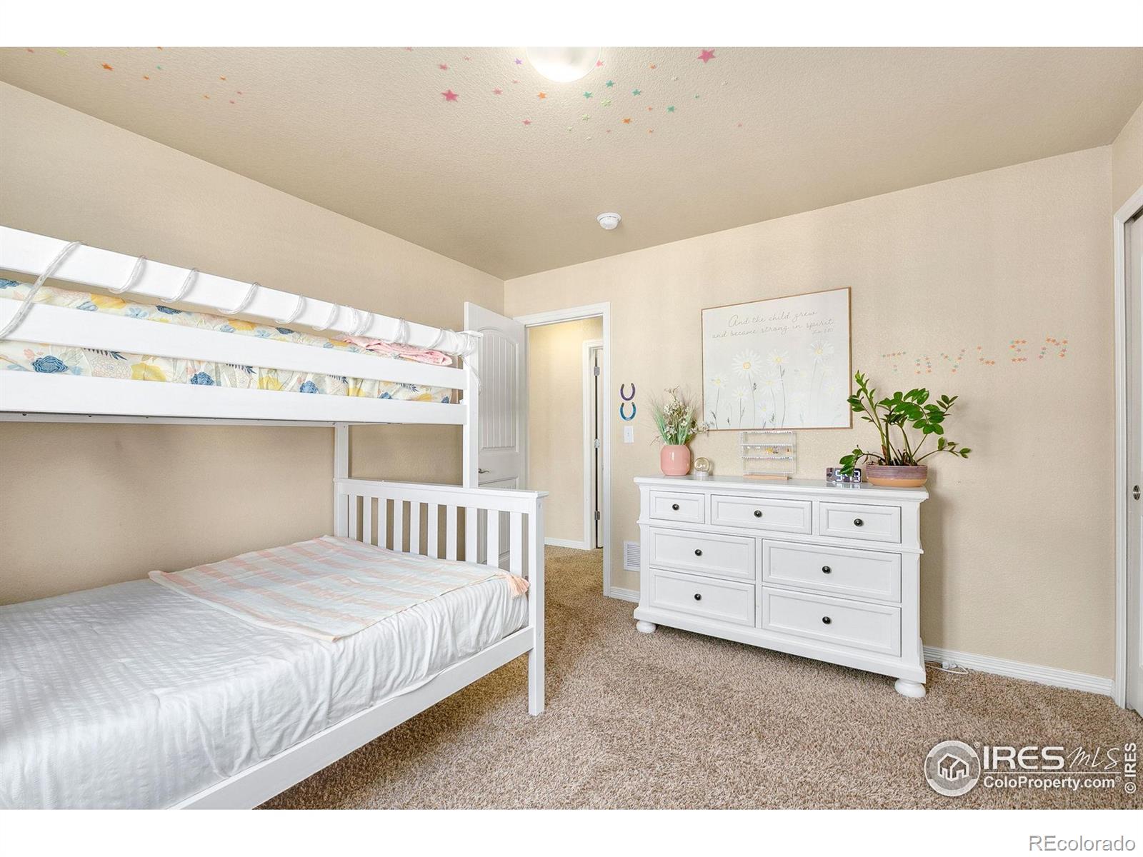 MLS Image #19 for 1787  avery plaza street,severance, Colorado