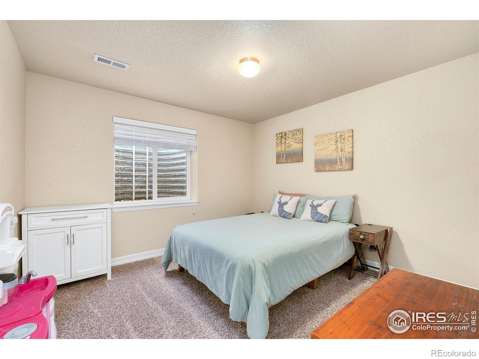 MLS Image #24 for 1787  avery plaza street,severance, Colorado