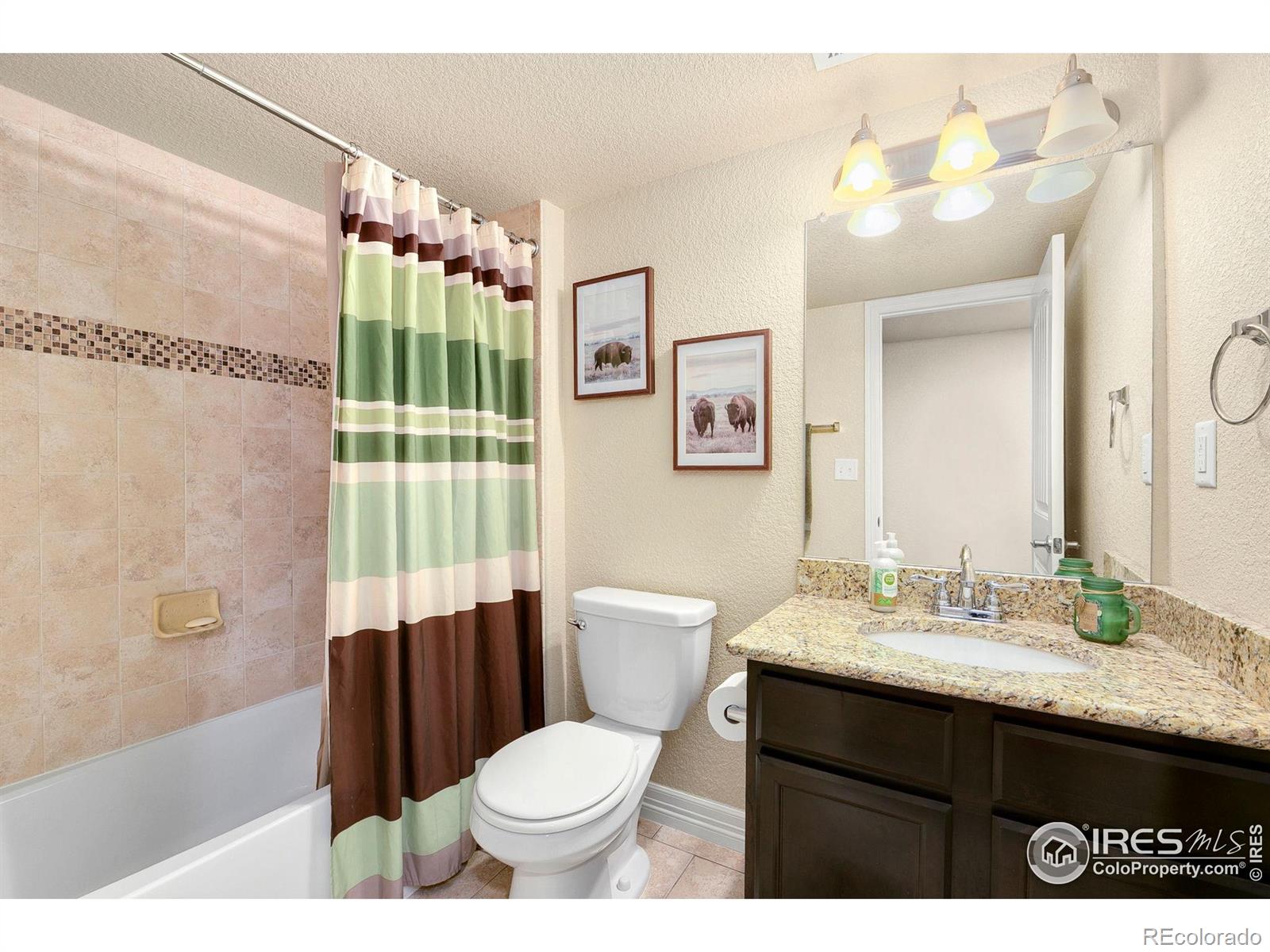 MLS Image #27 for 1787  avery plaza street,severance, Colorado