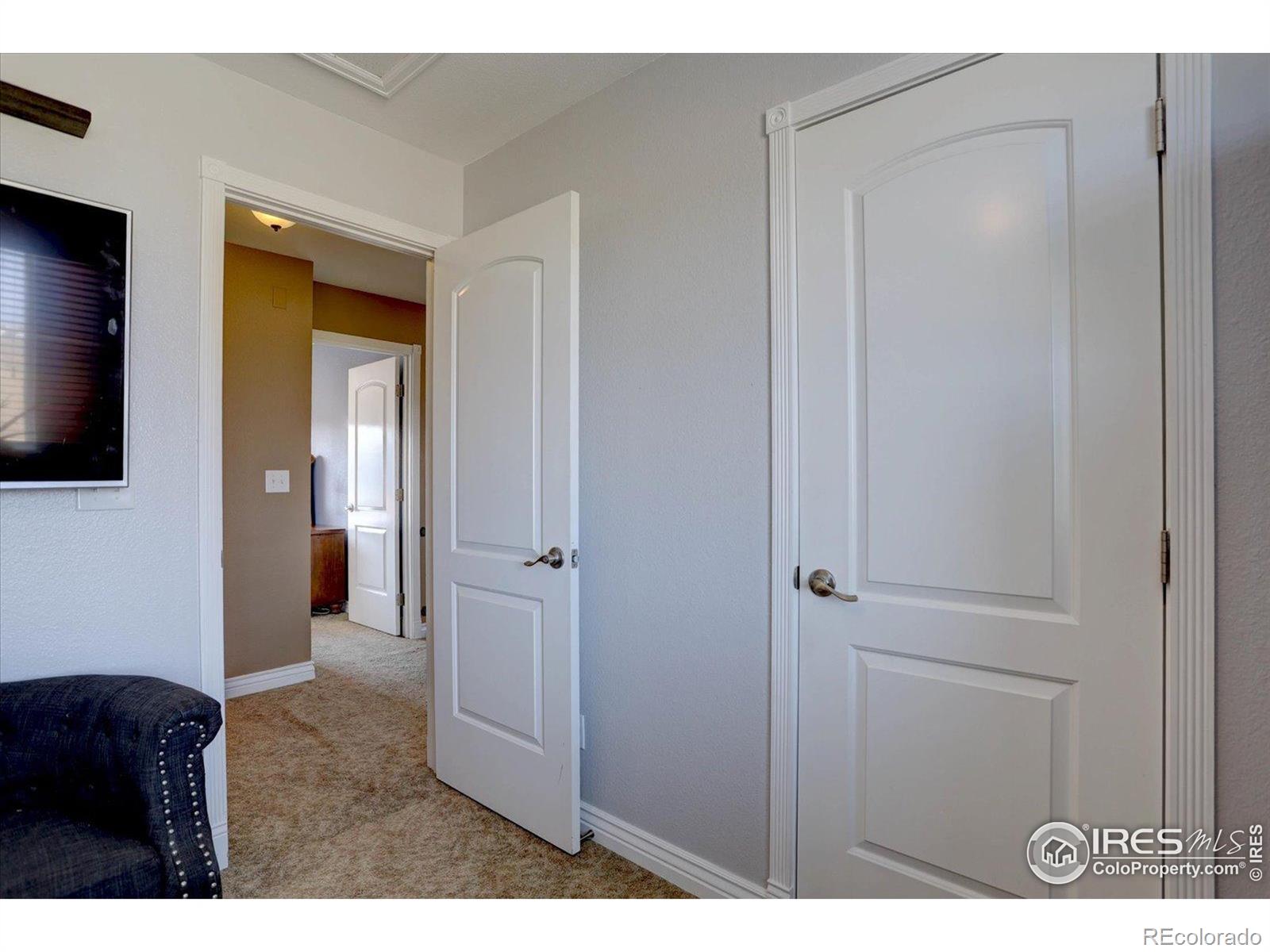 MLS Image #17 for 245  stonehaven st cir,dacono, Colorado