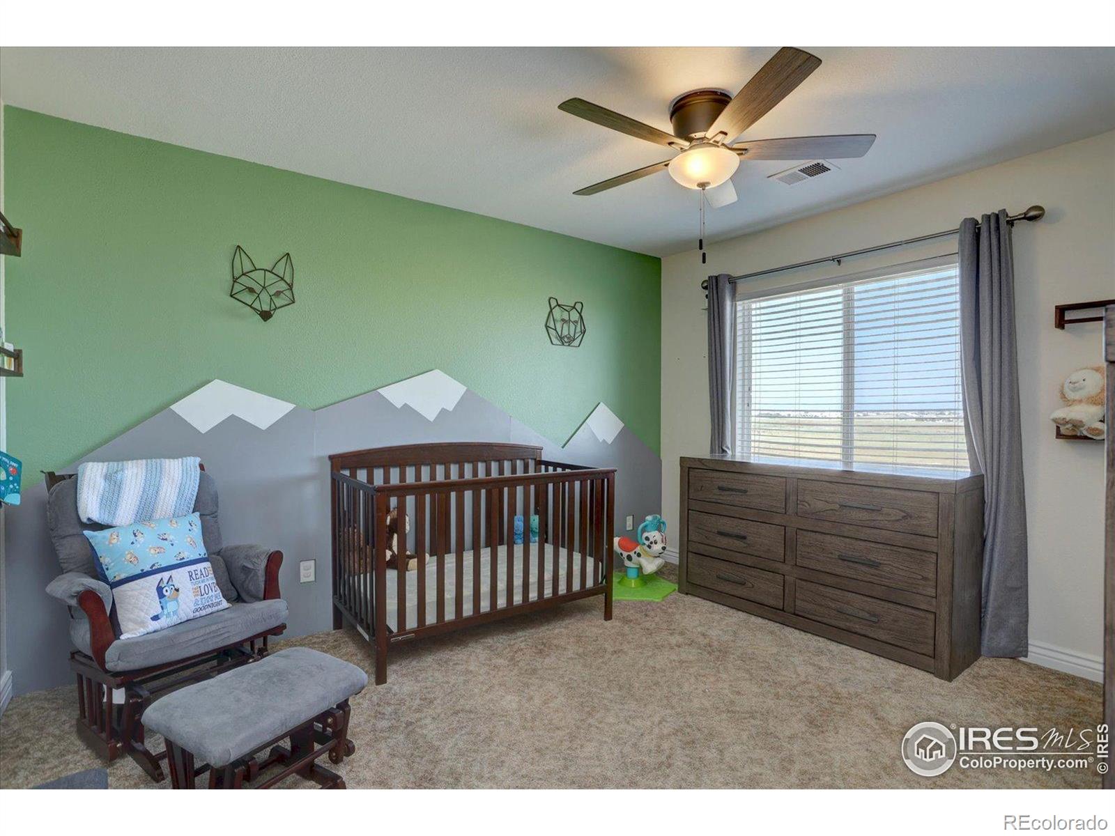 MLS Image #19 for 245  stonehaven st cir,dacono, Colorado