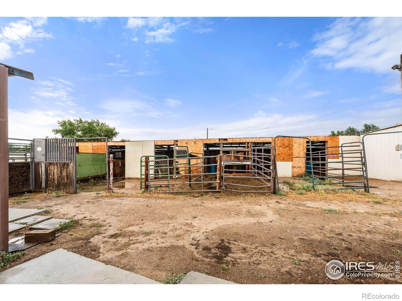 MLS Image #17 for 15465  good avenue,fort lupton, Colorado