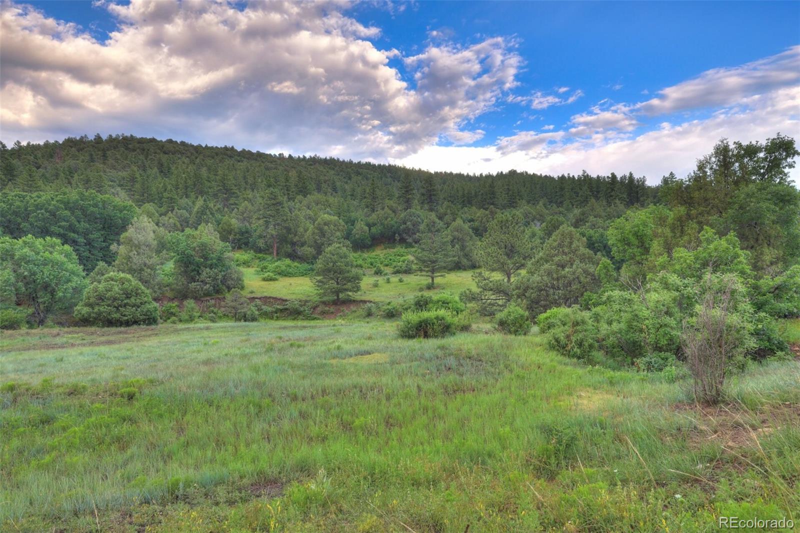 MLS Image #11 for 33041  big springs overlook ,trinidad, Colorado
