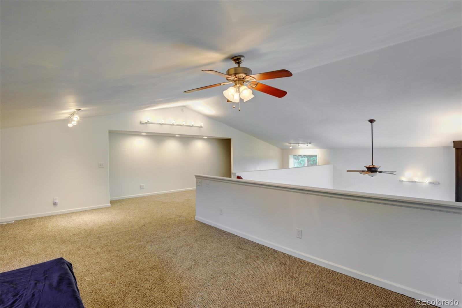 MLS Image #21 for 33041  big springs overlook ,trinidad, Colorado