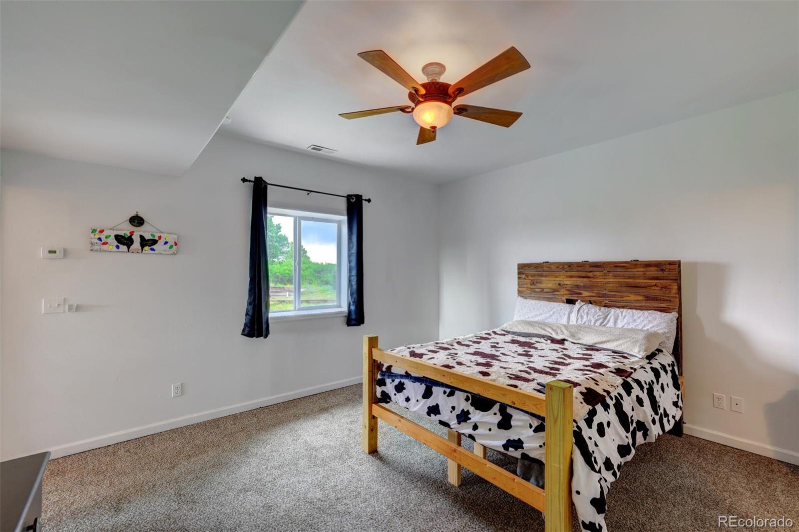 MLS Image #27 for 33041  big springs overlook ,trinidad, Colorado