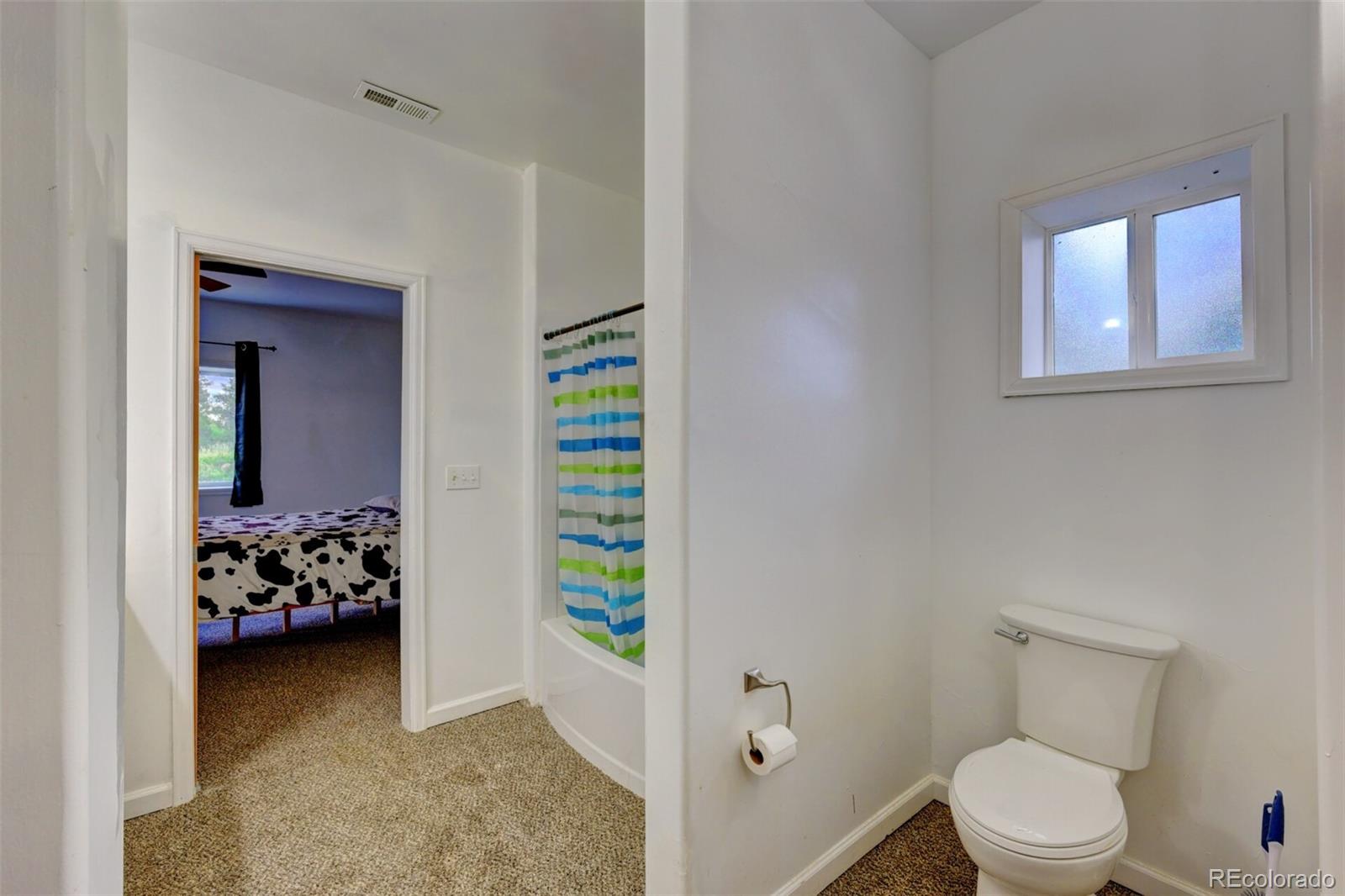 MLS Image #29 for 33041  big springs overlook ,trinidad, Colorado