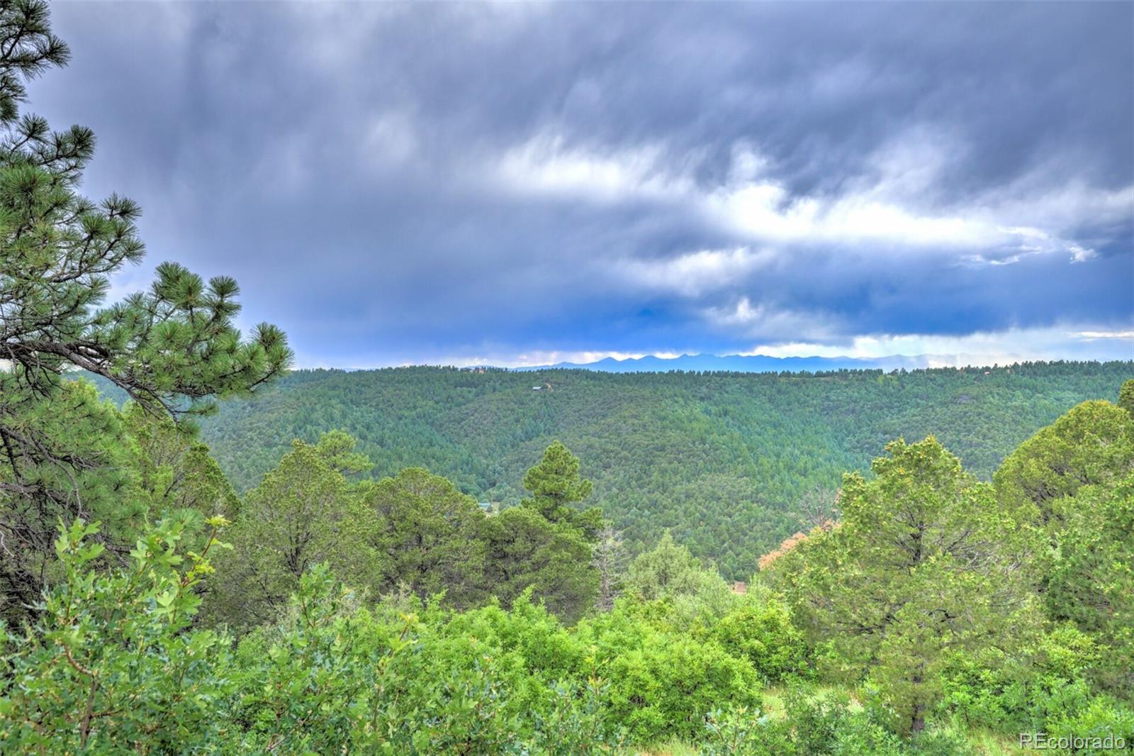 MLS Image #4 for 33041  big springs overlook ,trinidad, Colorado