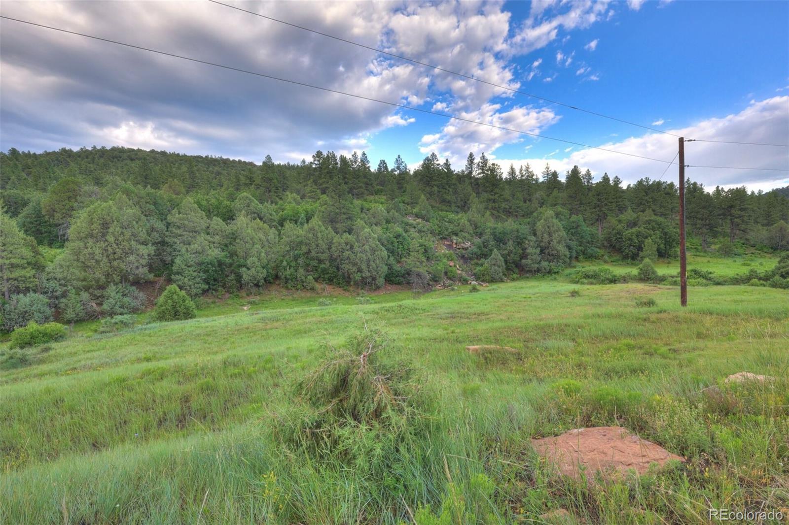 MLS Image #6 for 33041  big springs overlook ,trinidad, Colorado