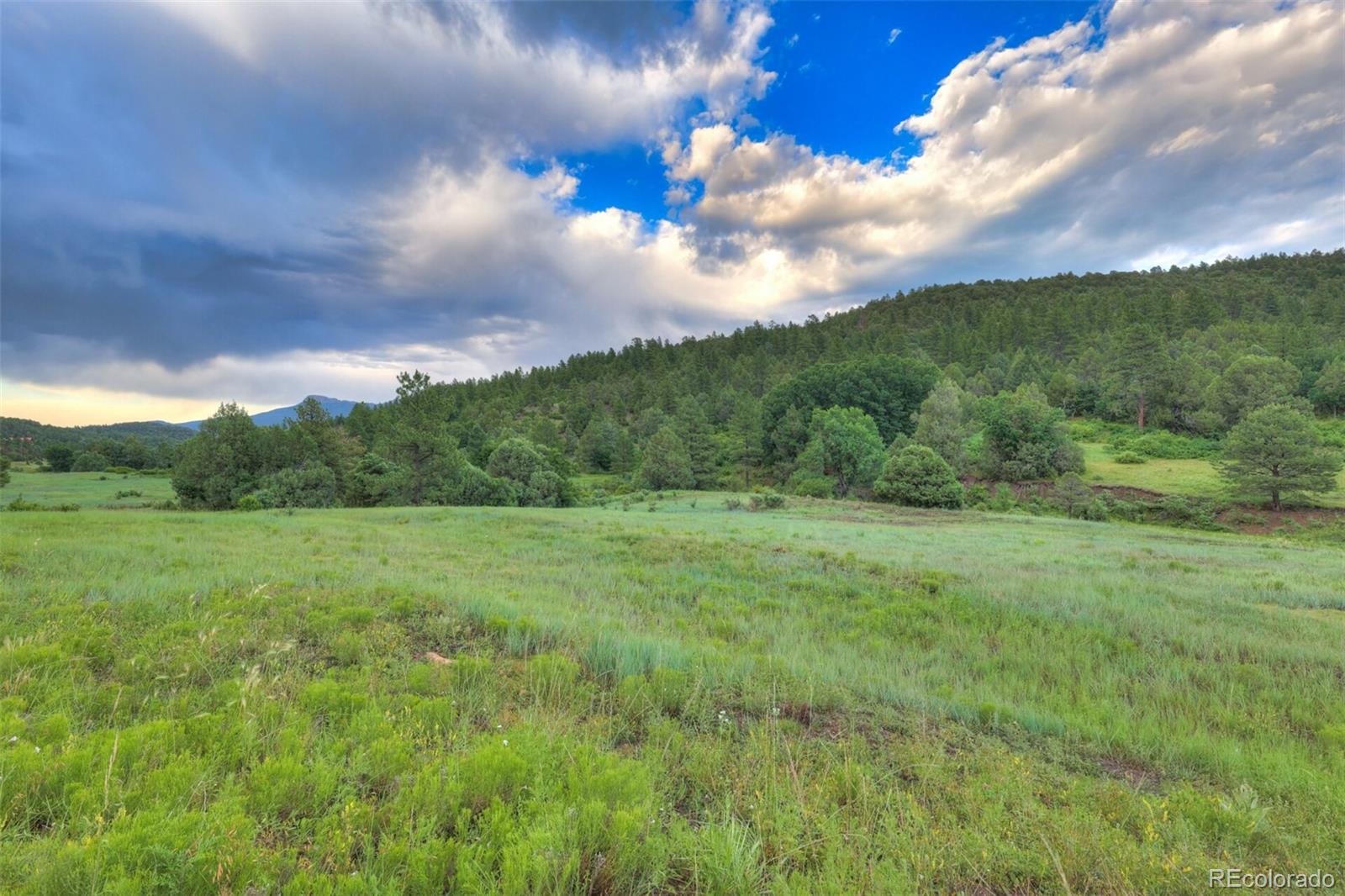 MLS Image #7 for 33041  big springs overlook ,trinidad, Colorado