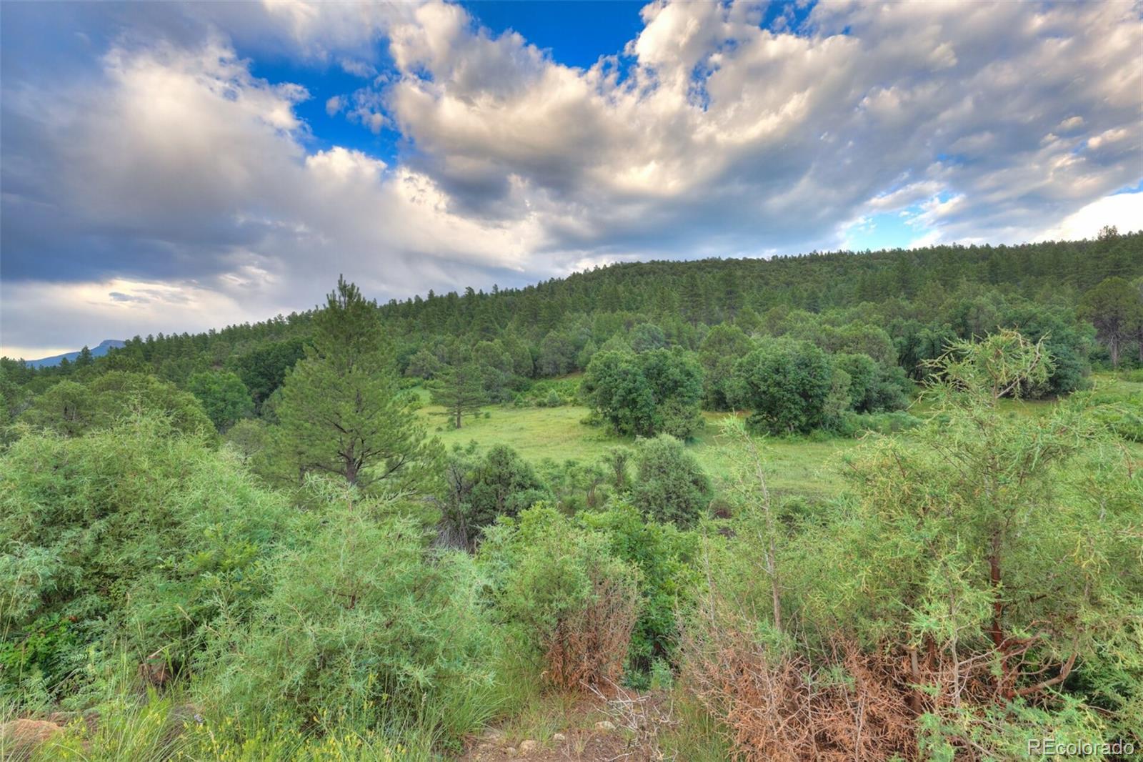 MLS Image #8 for 33041  big springs overlook ,trinidad, Colorado