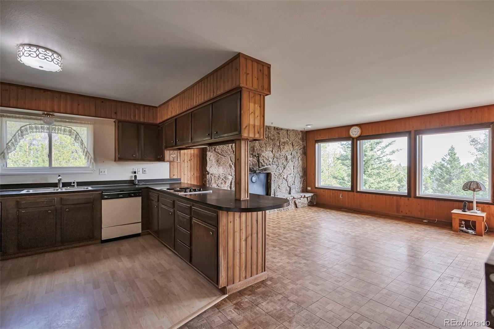 MLS Image #3 for 9750 s warhawk road,conifer, Colorado