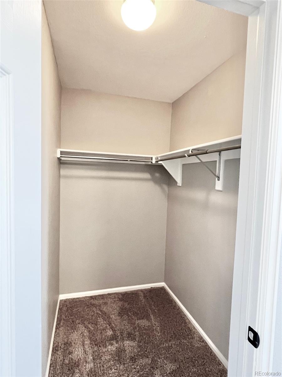 MLS Image #31 for 11540  crow hill drive,parker, Colorado