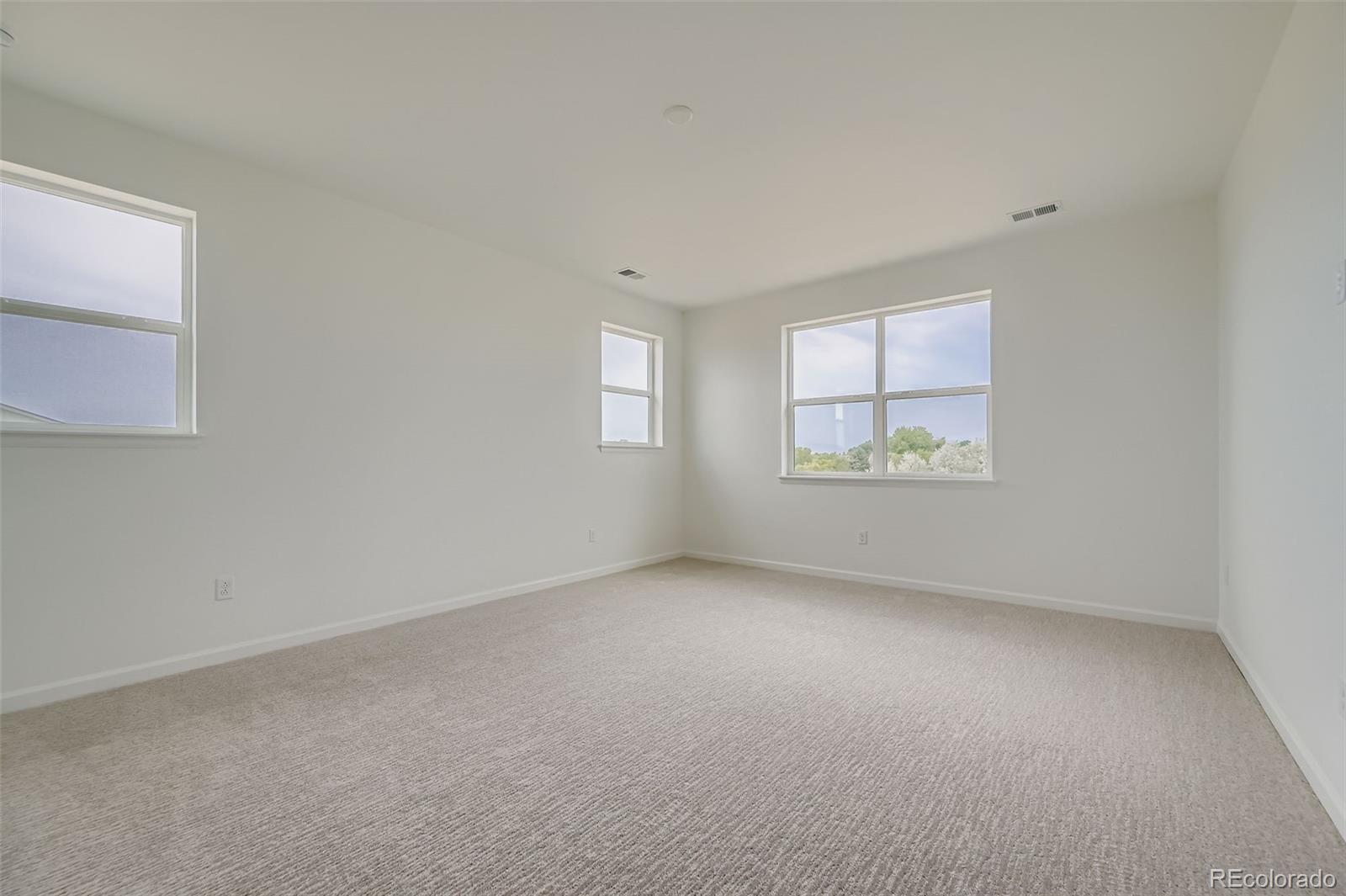 MLS Image #16 for 3991  wheathead place,timnath, Colorado