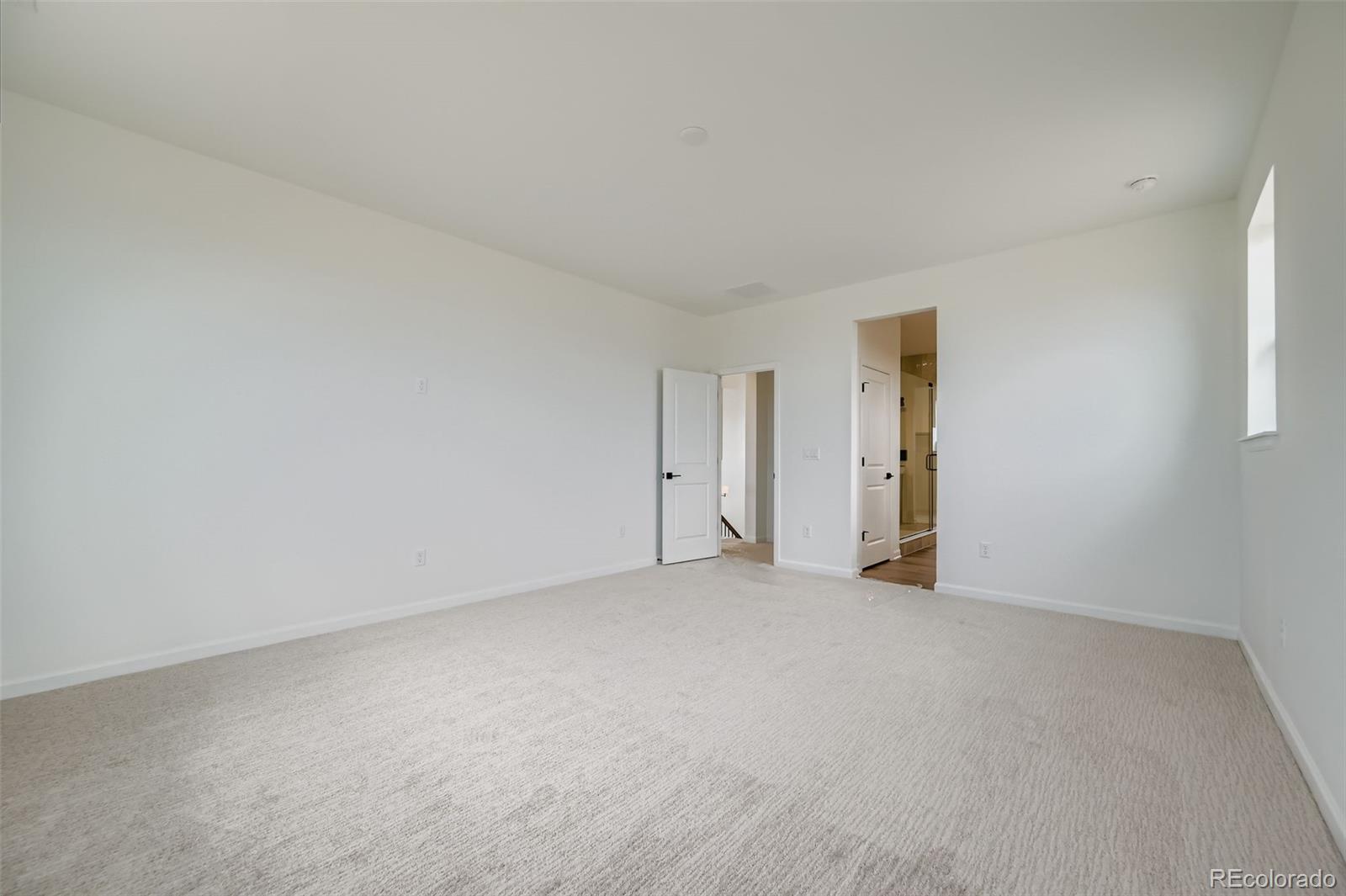 MLS Image #17 for 3991  wheathead place,timnath, Colorado