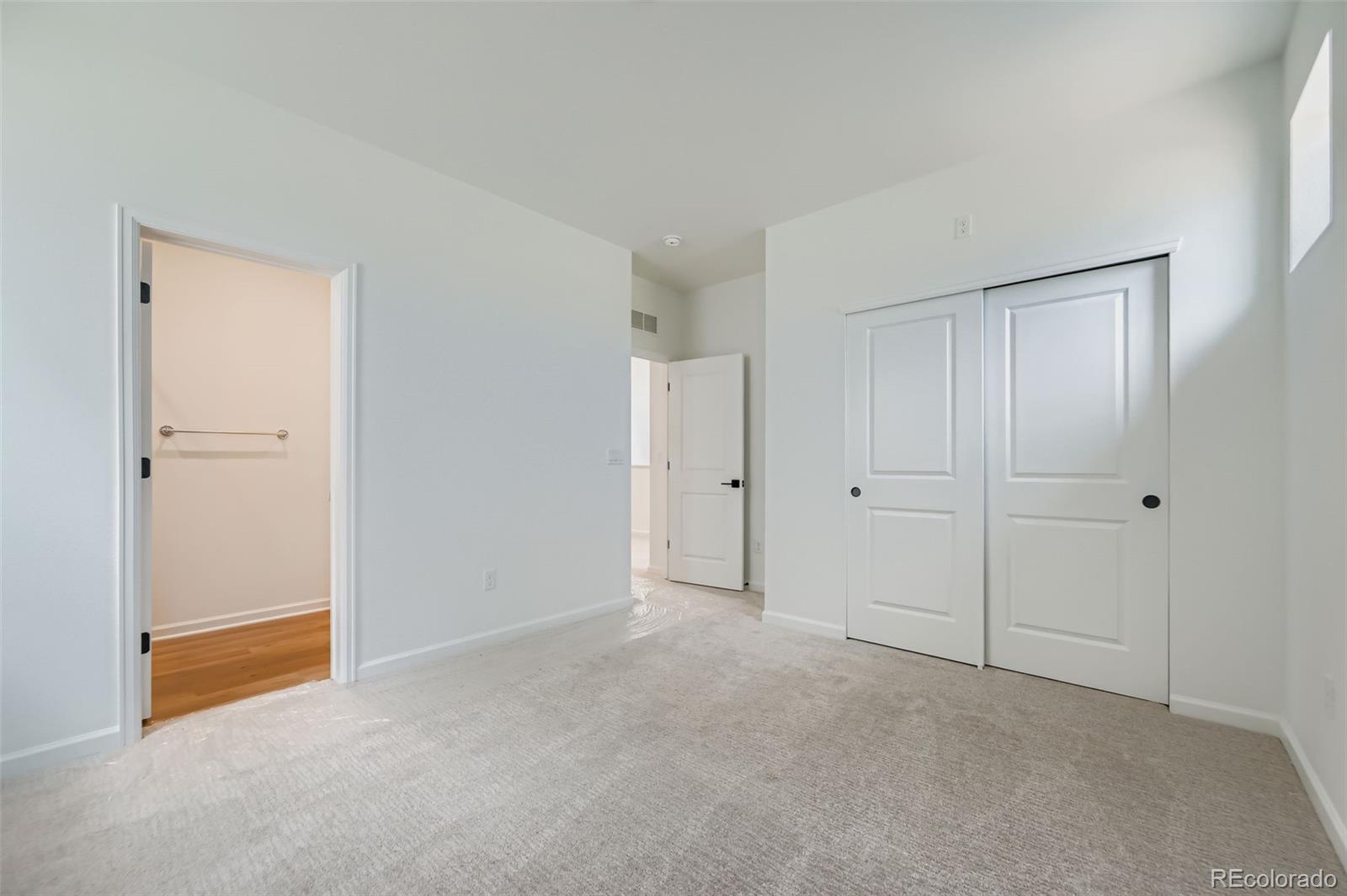 MLS Image #19 for 3991  wheathead place,timnath, Colorado