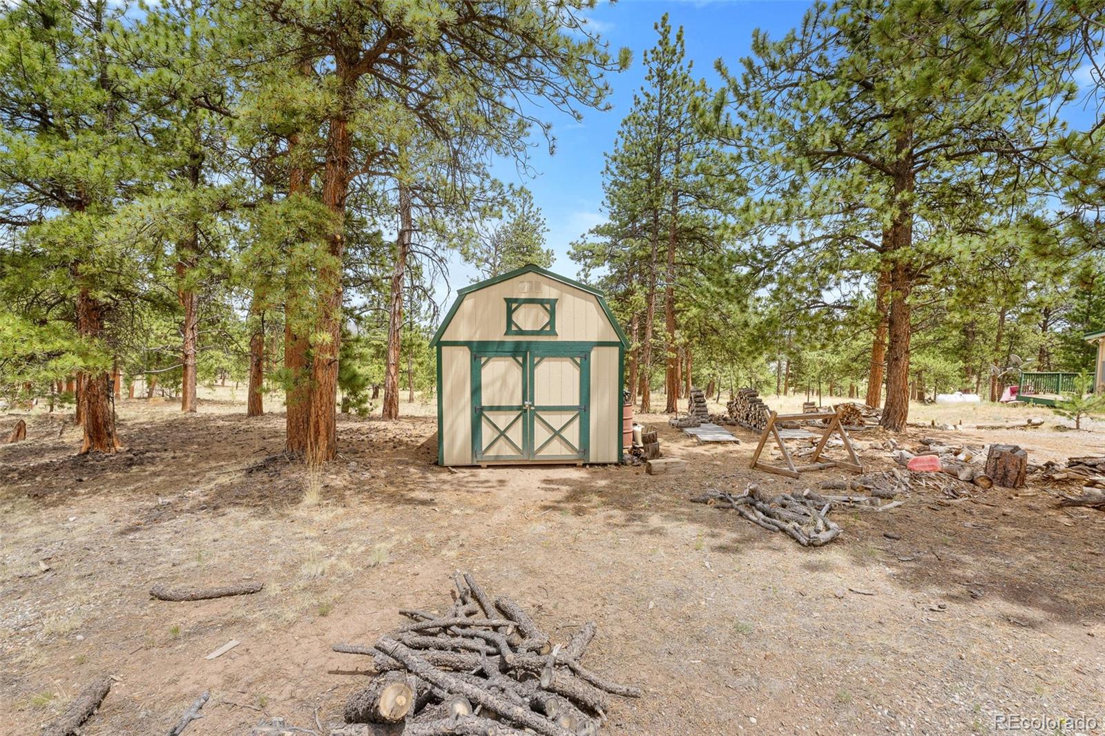 MLS Image #4 for 436  hayhook way,hartsel, Colorado
