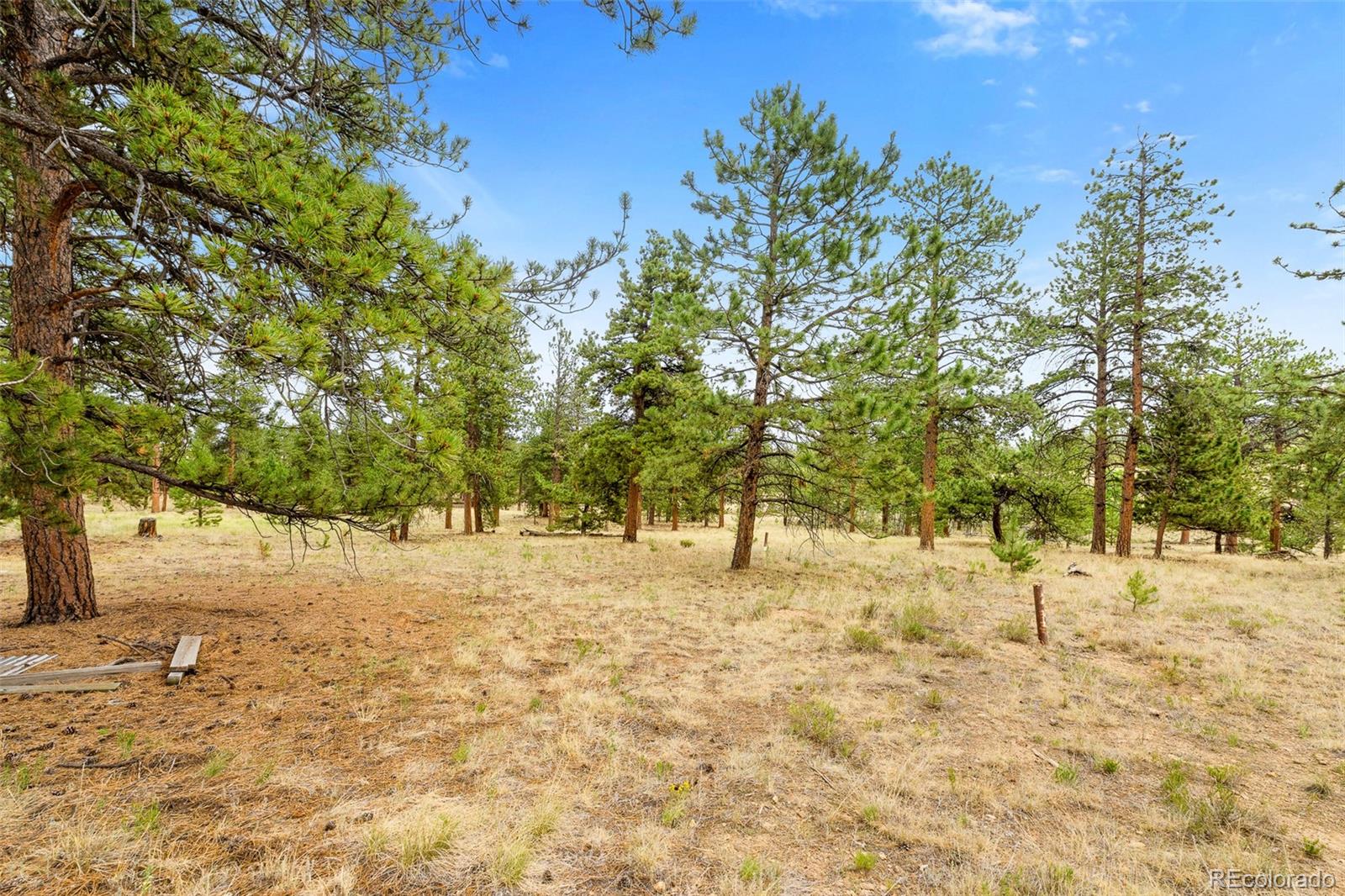 MLS Image #9 for 436  hayhook way,hartsel, Colorado