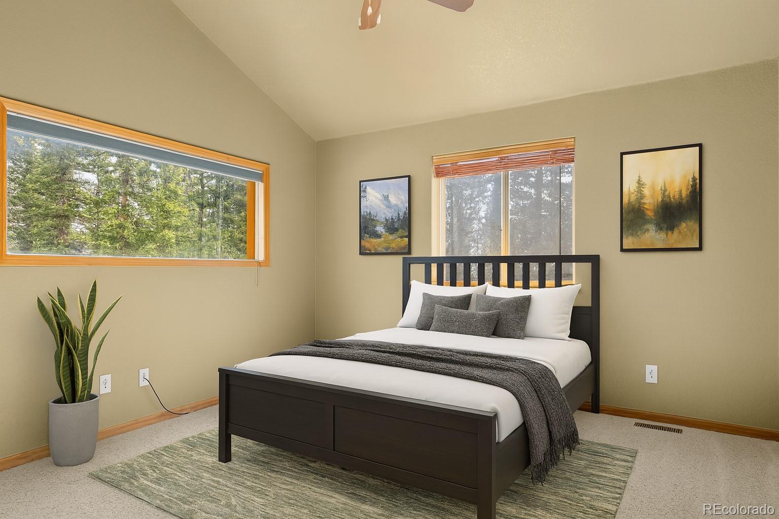 MLS Image #14 for 238  prunes place,fairplay, Colorado