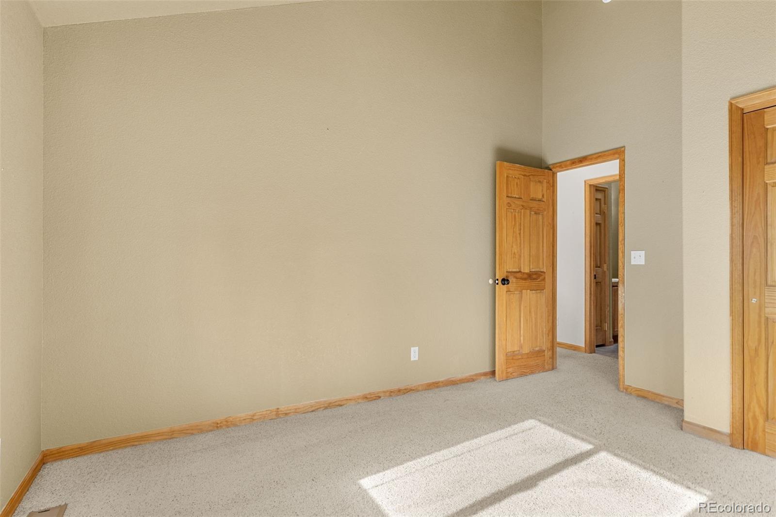 MLS Image #16 for 238  prunes place,fairplay, Colorado