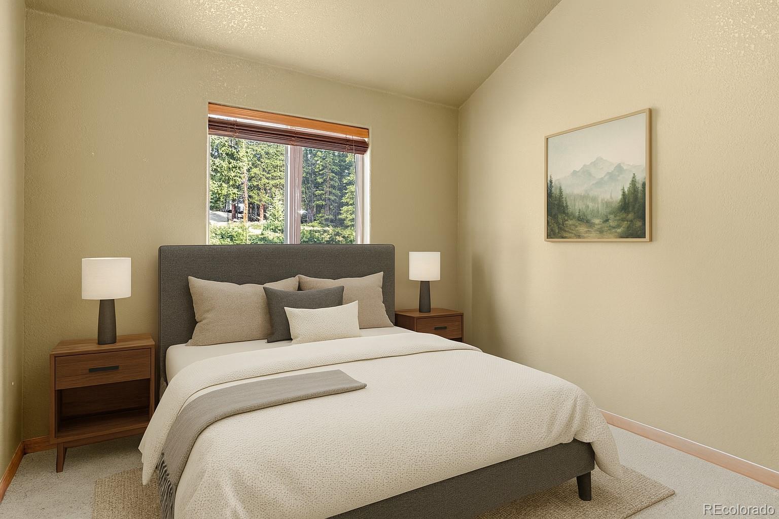 MLS Image #17 for 238  prunes place,fairplay, Colorado