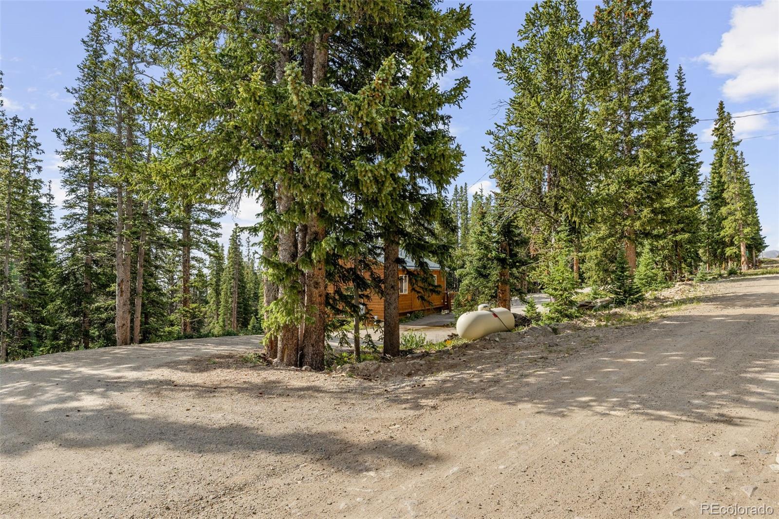 MLS Image #2 for 238  prunes place,fairplay, Colorado