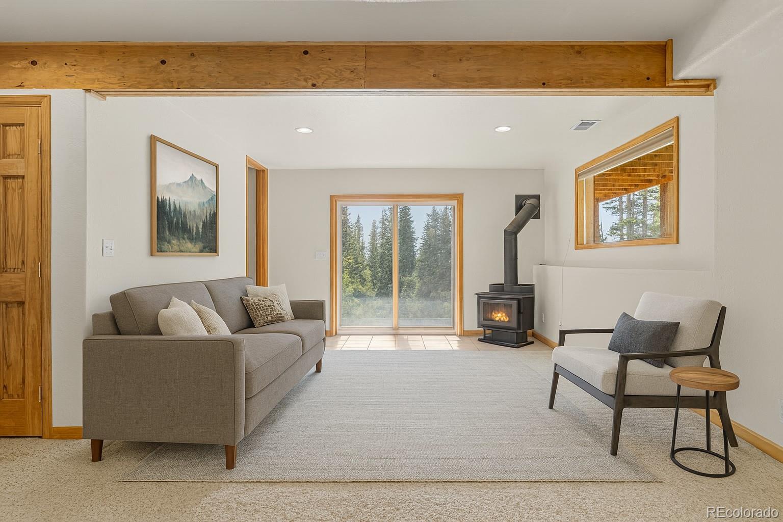 MLS Image #20 for 238  prunes place,fairplay, Colorado