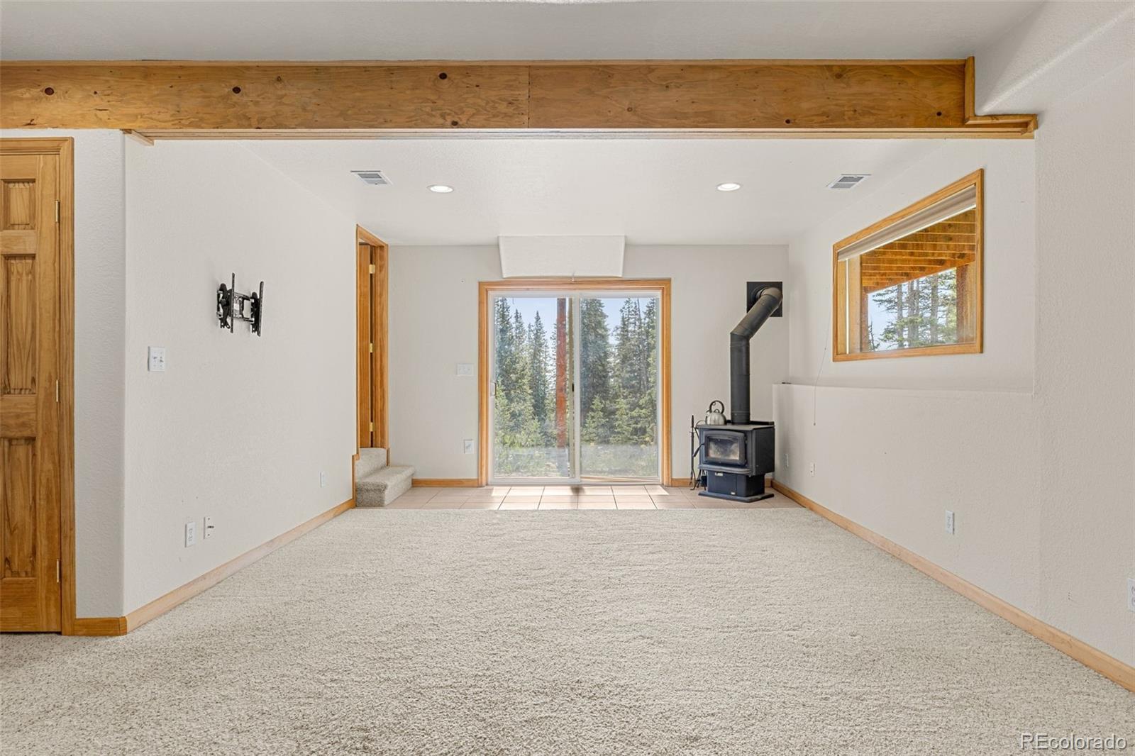 MLS Image #21 for 238  prunes place,fairplay, Colorado