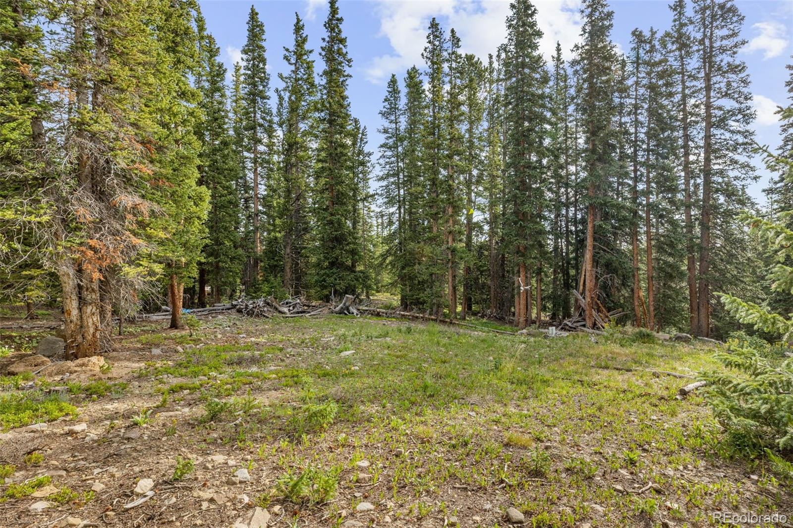 MLS Image #25 for 238  prunes place,fairplay, Colorado