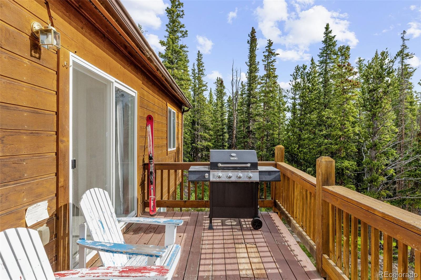 MLS Image #27 for 238  prunes place,fairplay, Colorado