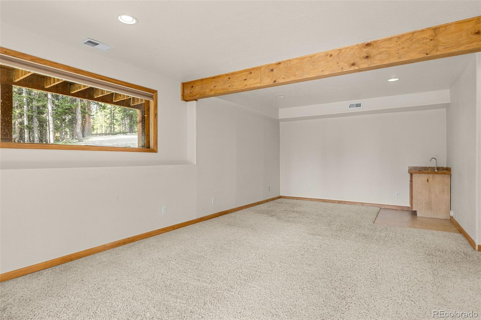 MLS Image #29 for 238  prunes place,fairplay, Colorado