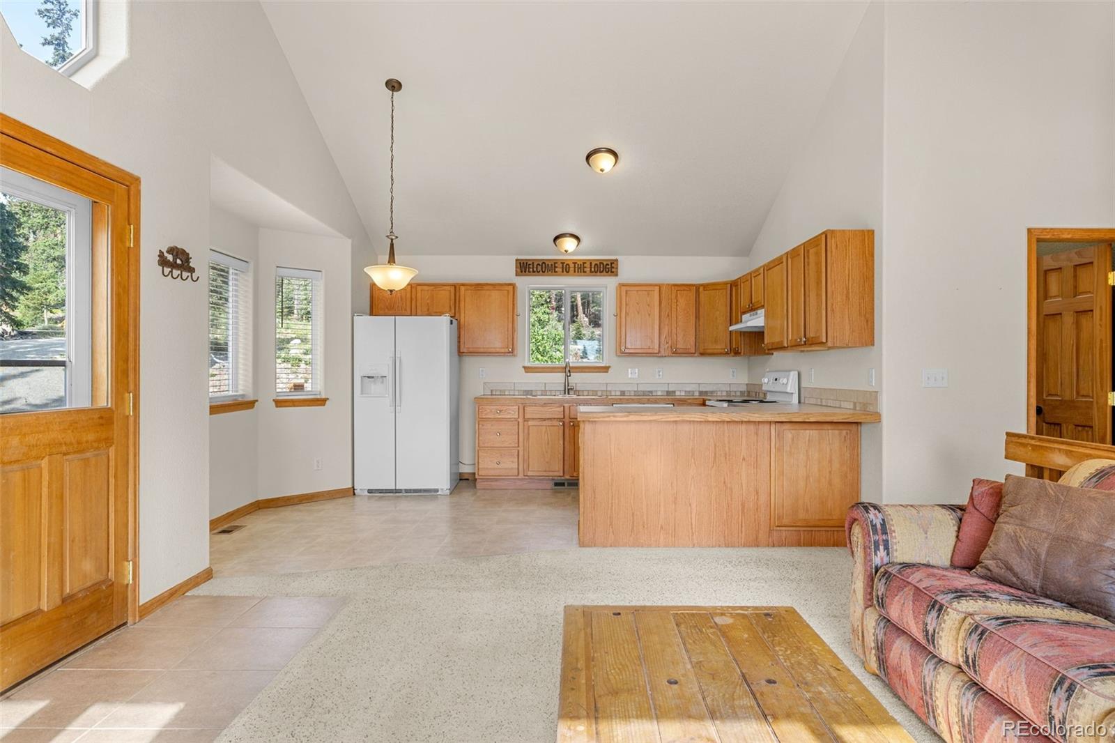 MLS Image #5 for 238  prunes place,fairplay, Colorado
