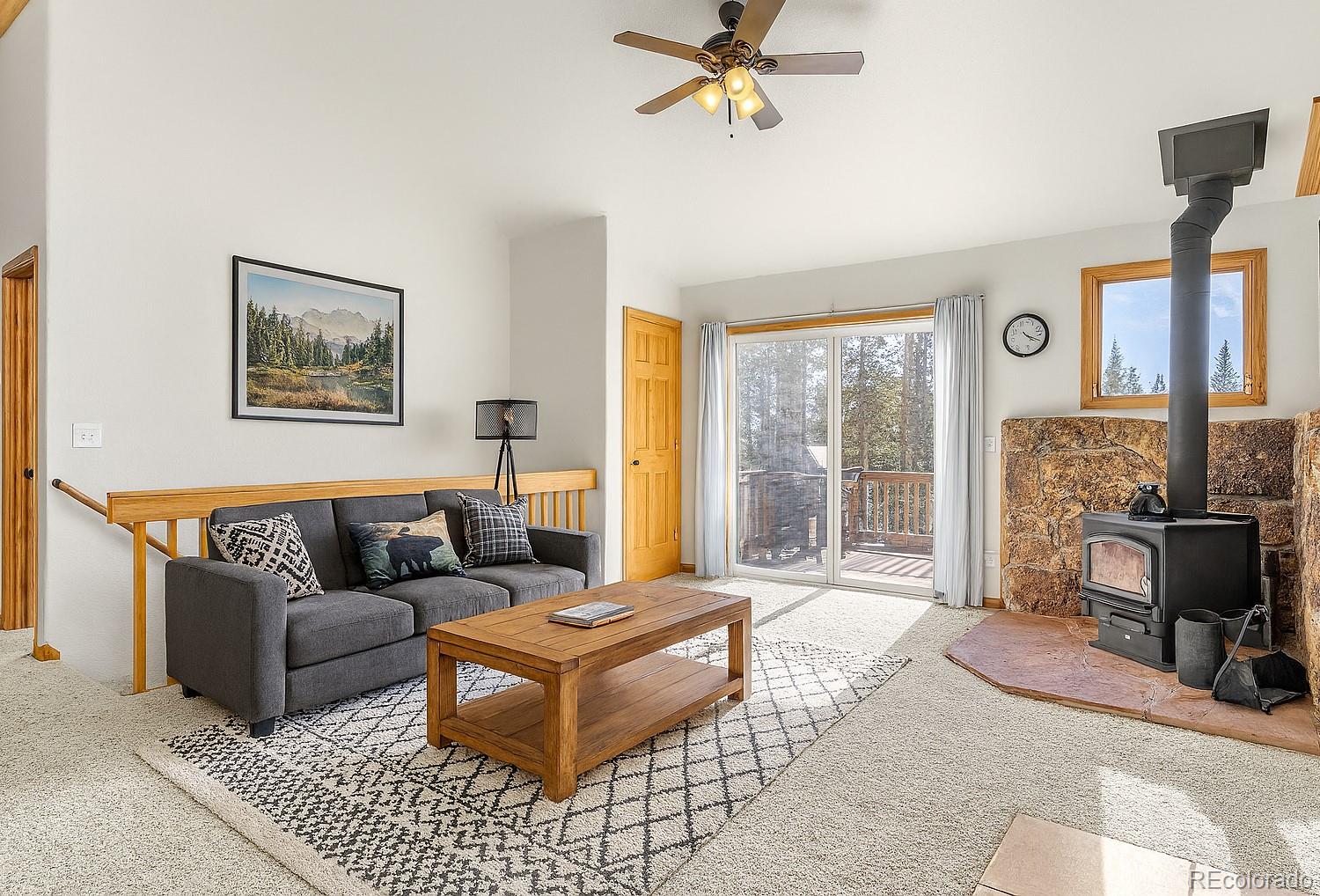 MLS Image #6 for 238  prunes place,fairplay, Colorado