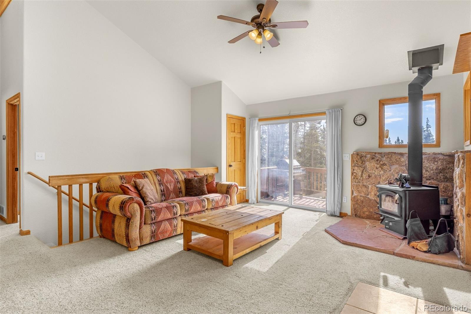 MLS Image #7 for 238  prunes place,fairplay, Colorado