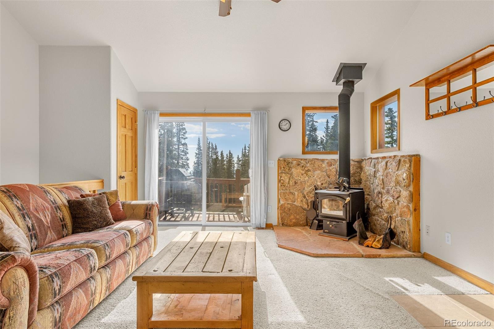 MLS Image #8 for 238  prunes place,fairplay, Colorado