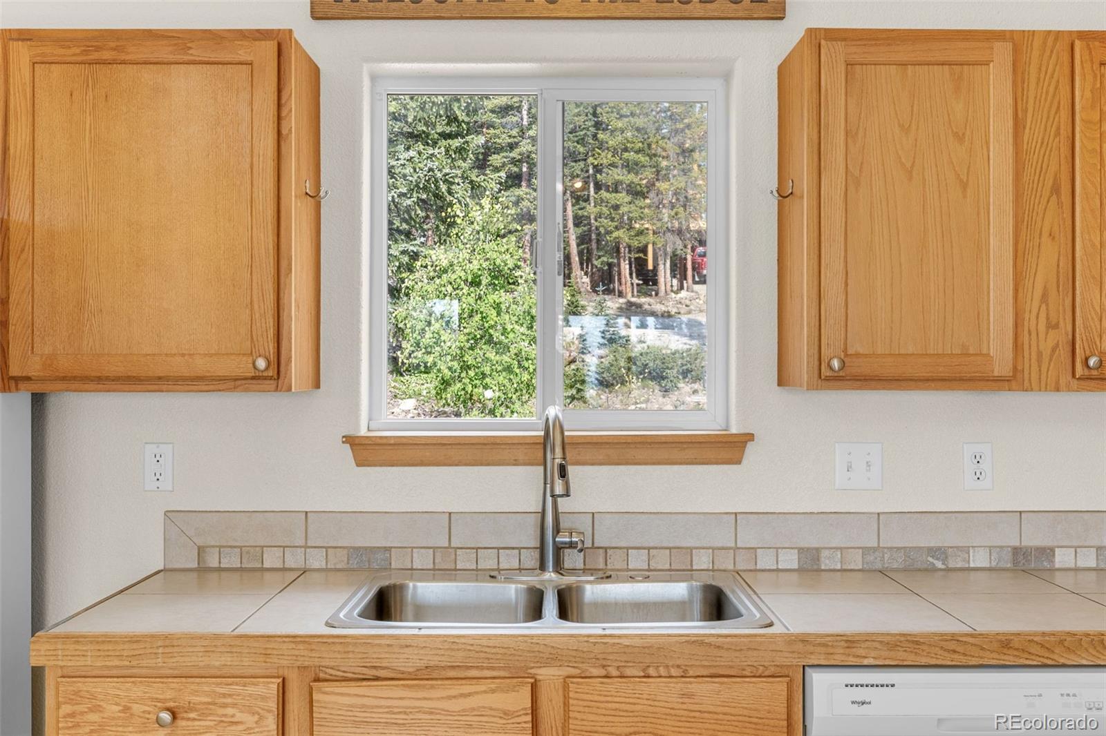MLS Image #9 for 238  prunes place,fairplay, Colorado
