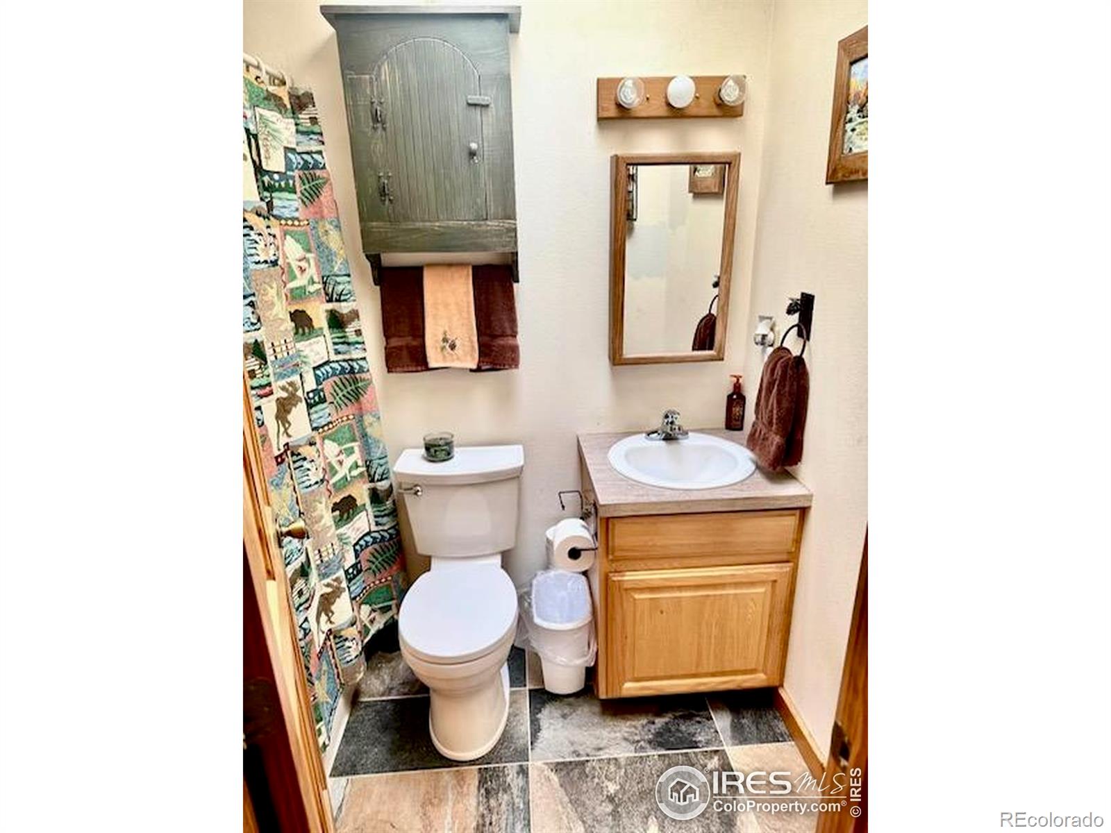 MLS Image #10 for 28  nonami court,red feather lakes, Colorado