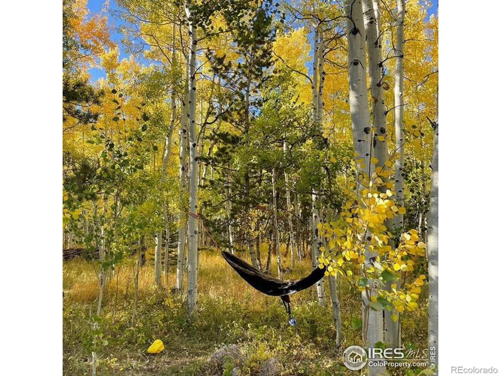 MLS Image #13 for 28  nonami court,red feather lakes, Colorado
