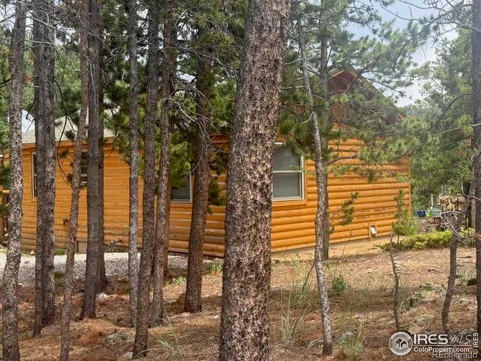 MLS Image #3 for 28  nonami court,red feather lakes, Colorado