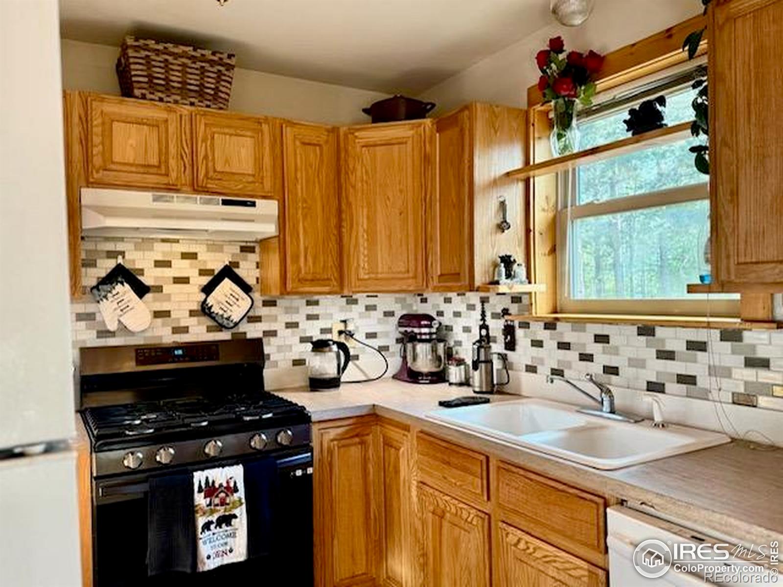 MLS Image #6 for 28  nonami court,red feather lakes, Colorado