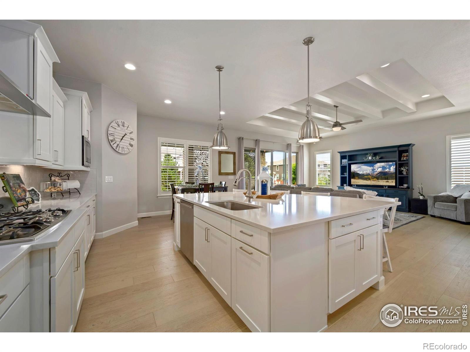 MLS Image #13 for 6104  summerfields parkway,timnath, Colorado