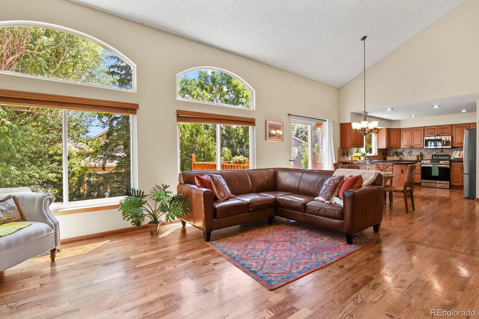MLS Image #6 for 596 s lindsey street,castle rock, Colorado