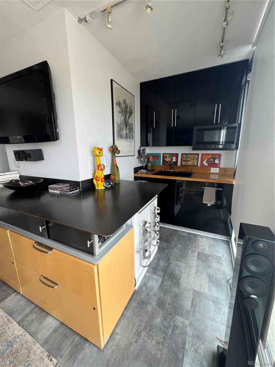 MLS Image #5 for 790 n washington street,denver, Colorado