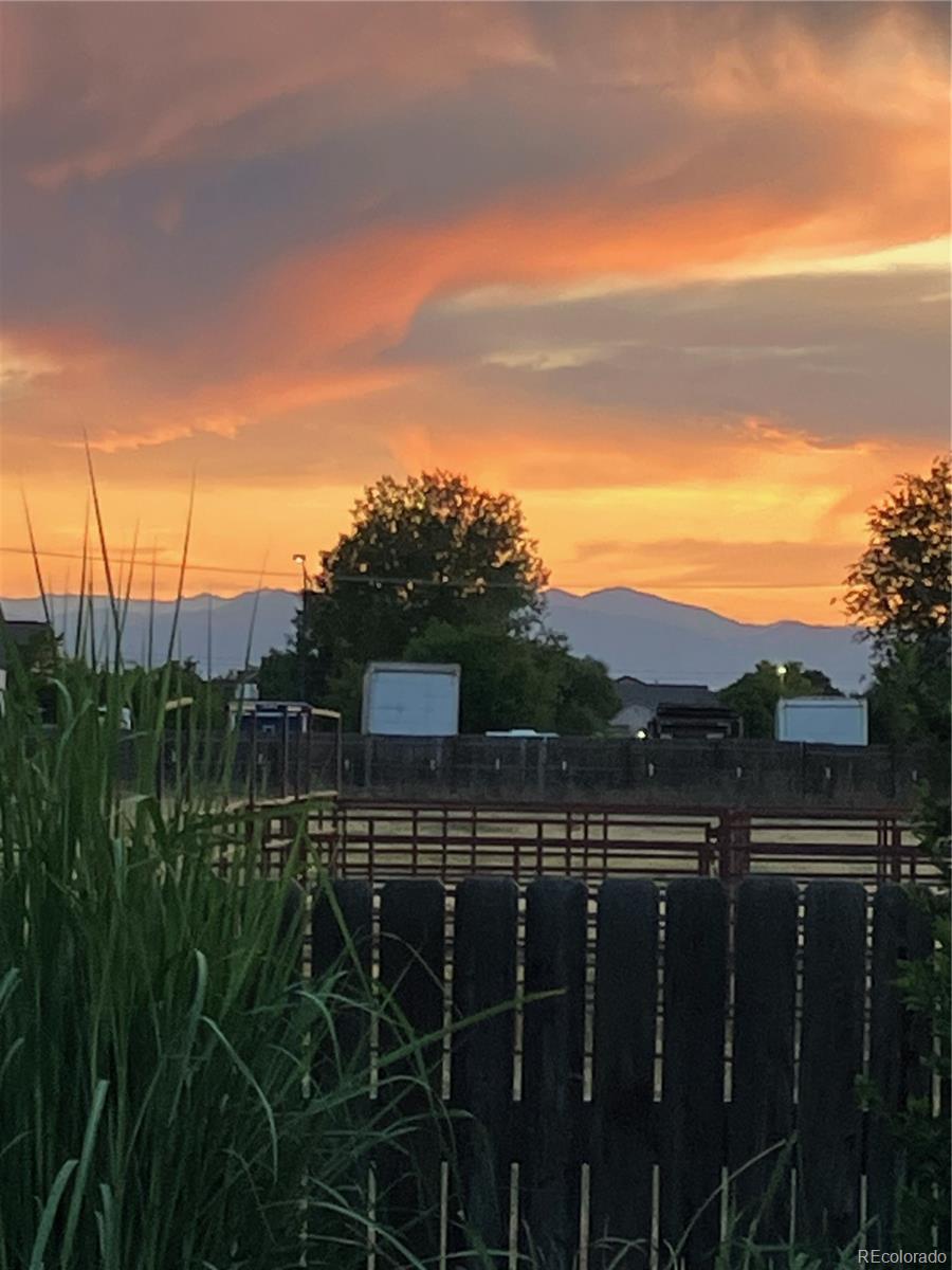 MLS Image #48 for 11961  racine court,henderson, Colorado